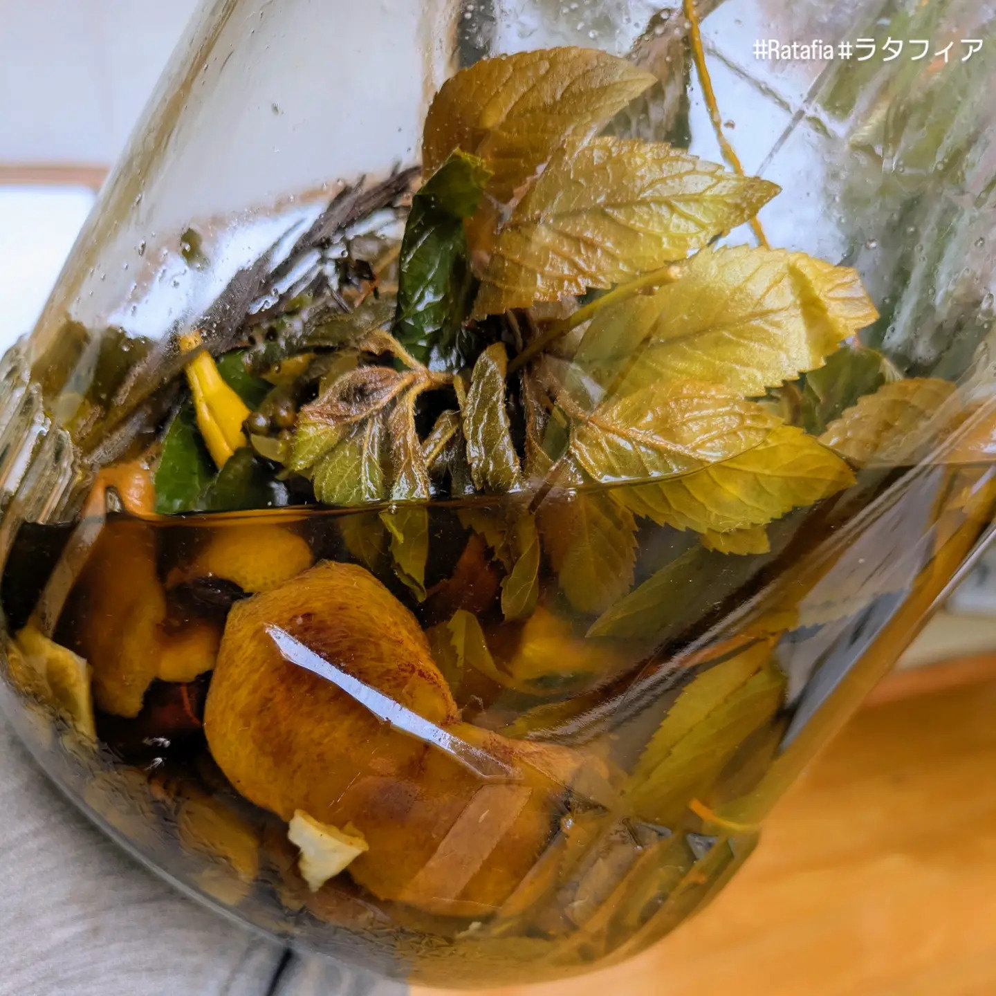 Ratafia de 10.600 km