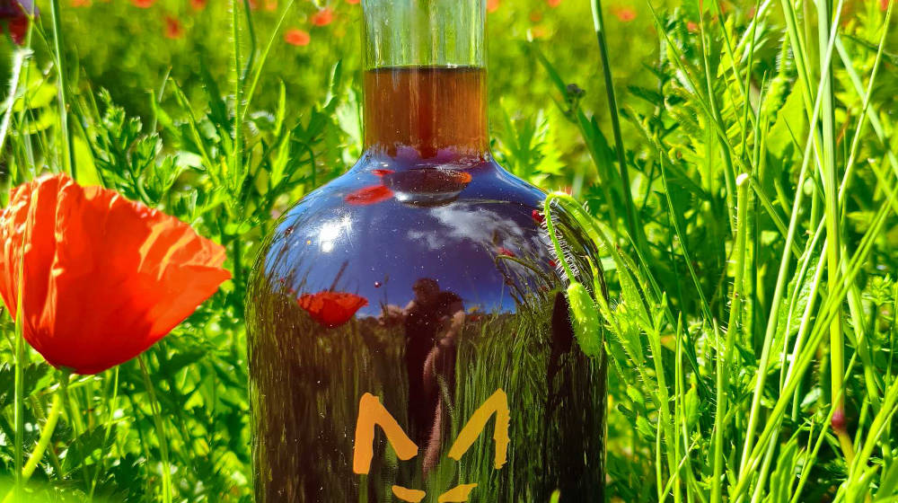 Presentació Ratafia Rabosa