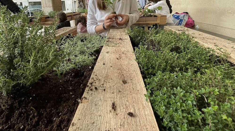 Espai d’intercanvi de flors i plantes