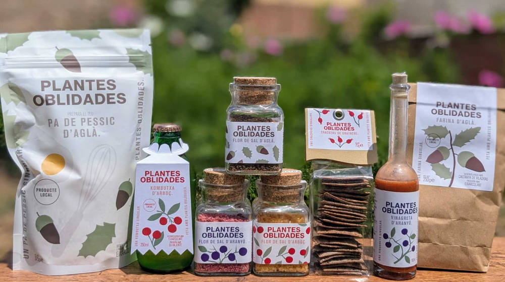 Tast i presentació dels productes de Plantes Oblidades