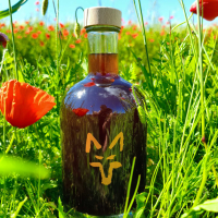 Presentació Ratafia Rabosa