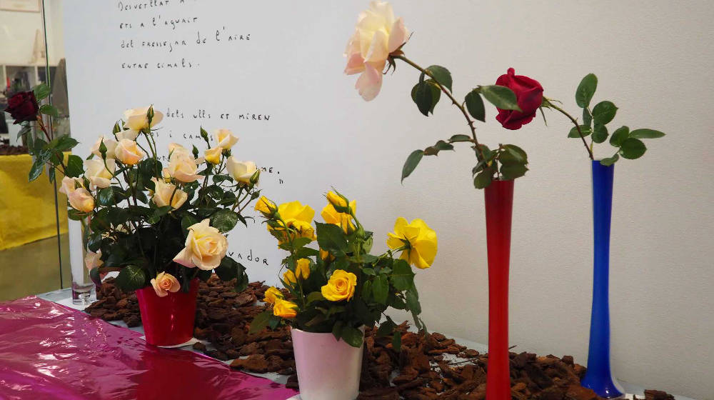 Entrega de premis del 73è Concurs i Exposició de Flors