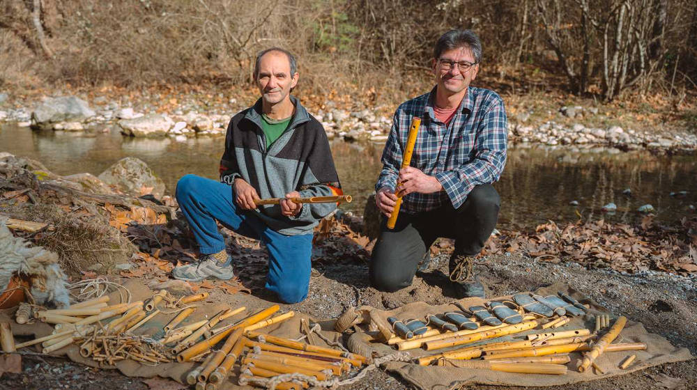Instruments tradicionals amb plantes
