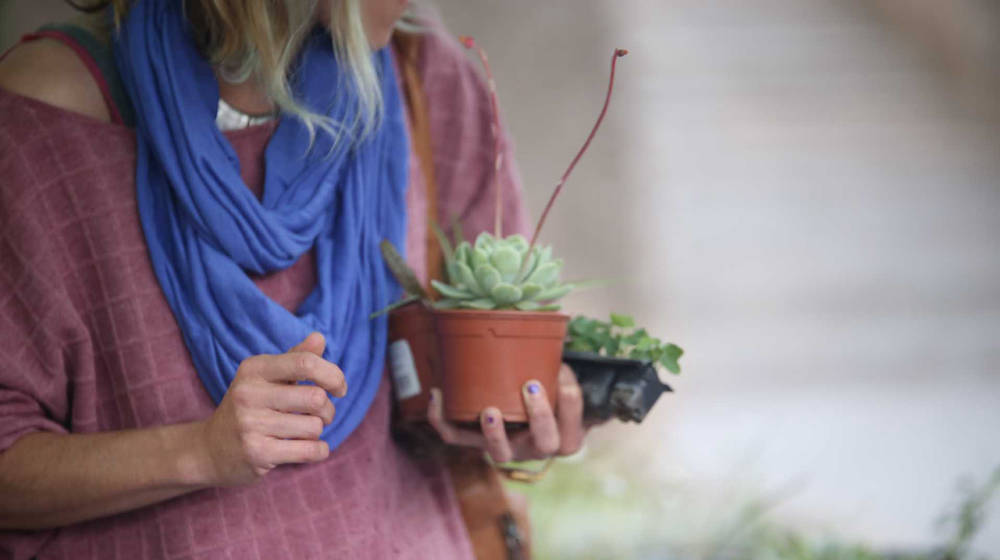Mercat d'herbes i productes artesans