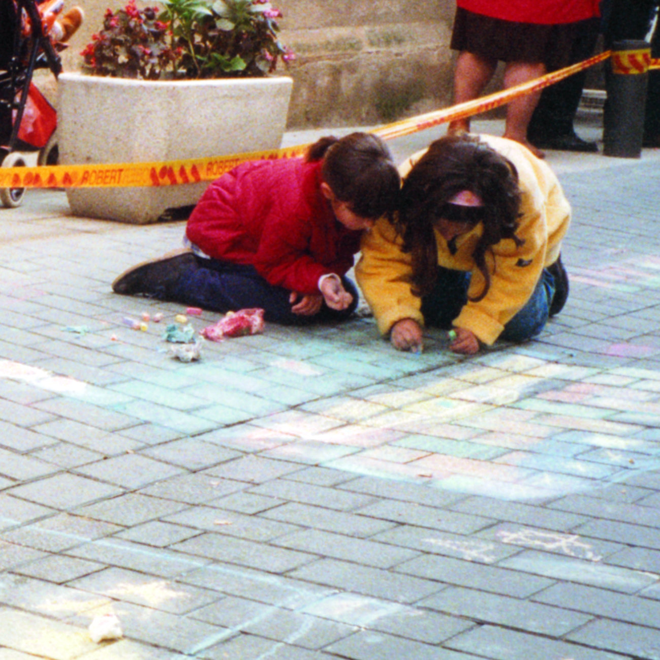 Pintada de llambordes